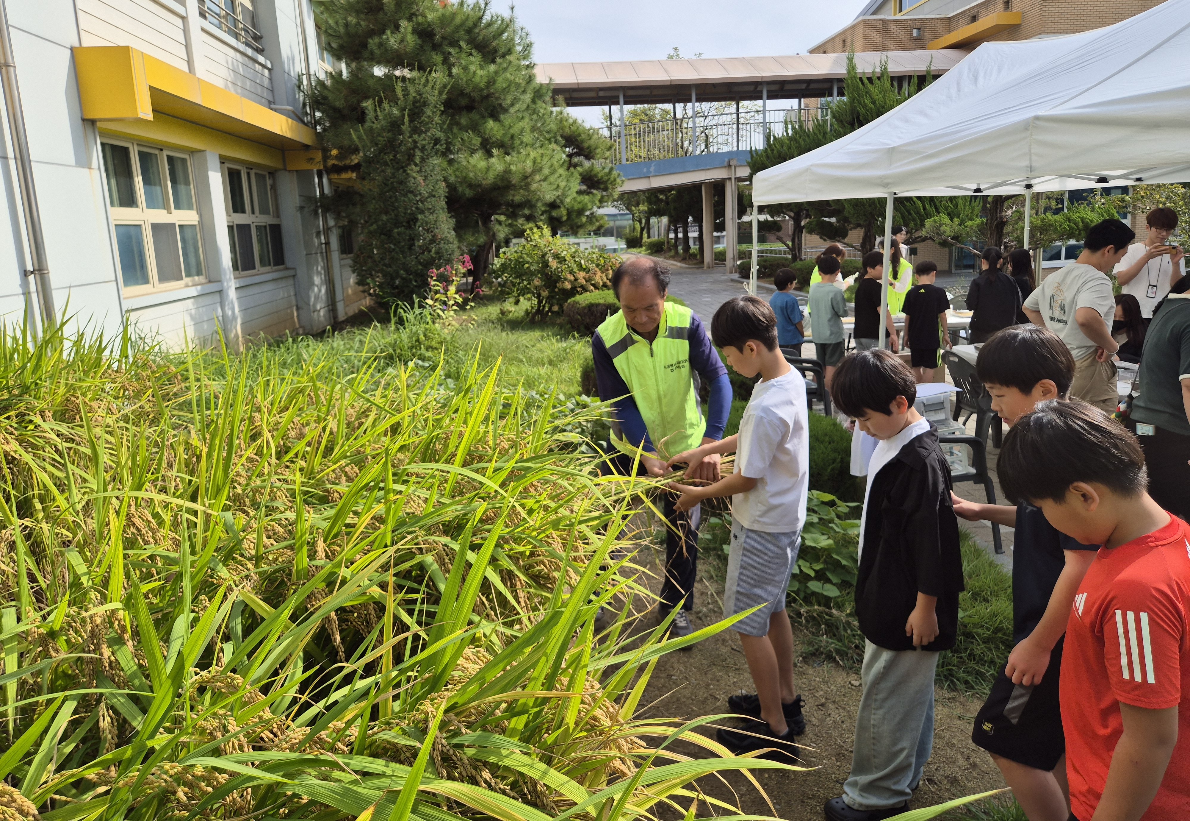 “스쿨팜에서 농업·농촌의 소중함 배워요” 이미지(4)