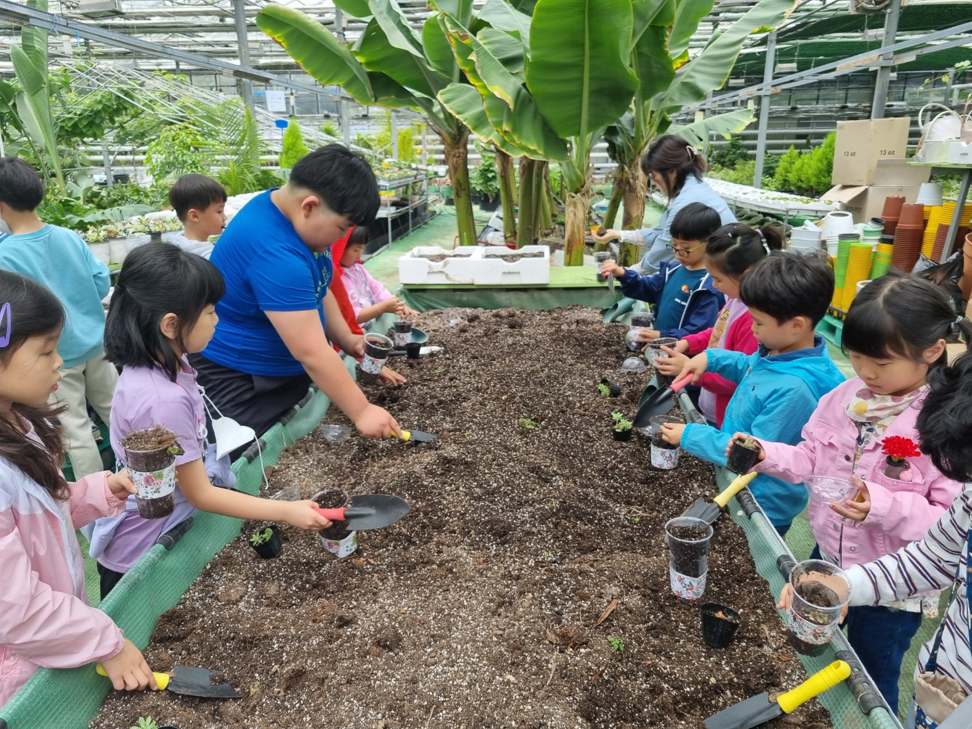 27명→333명… 농어촌유학 4년새 12배 증가 이미지(2)