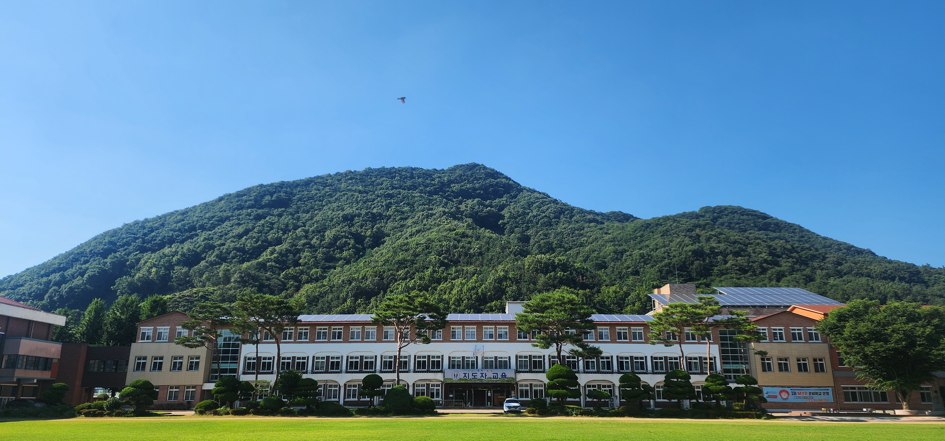 화산중, IB 월드스쿨 전국단위 공개 수업 운영 이미지(1)