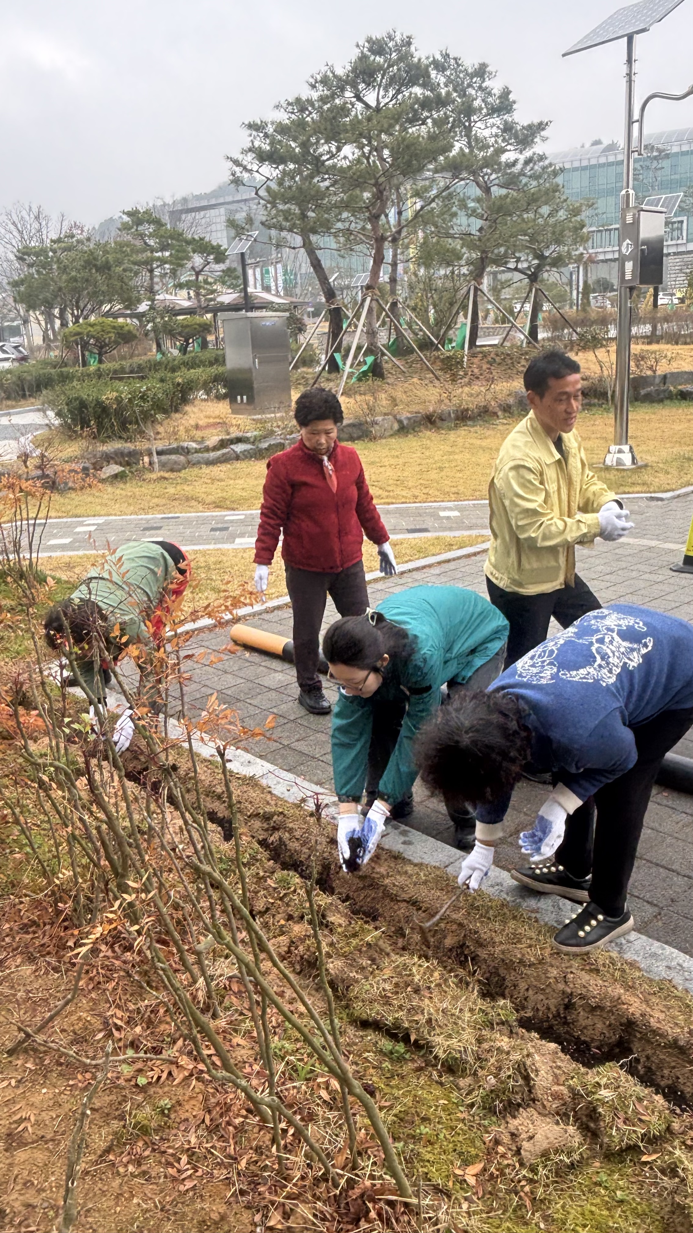 부안학생교육문화관, ESG 실천 식목 행사 개최 이미지(2)