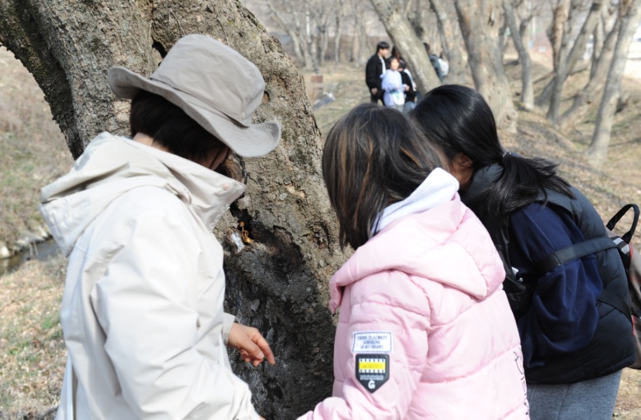 임실생태누리,  숲이 보내는 봄의 신호를 찾는 생태환경 교육 시작 이미지(2)